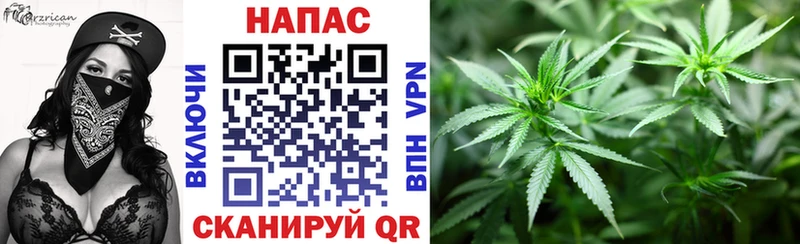 Продажа наркотиков Пучеж ГАШ  Канабис  АМФЕТАМИН  Меф мяу мяу  Альфа ПВП 