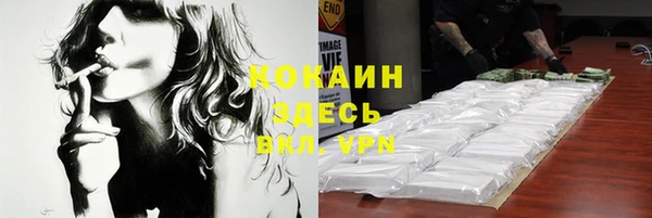 эйфоретик Михайлов