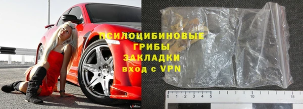 крисы Медвежьегорск