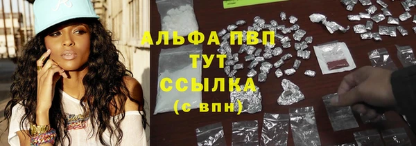 крисы Медвежьегорск